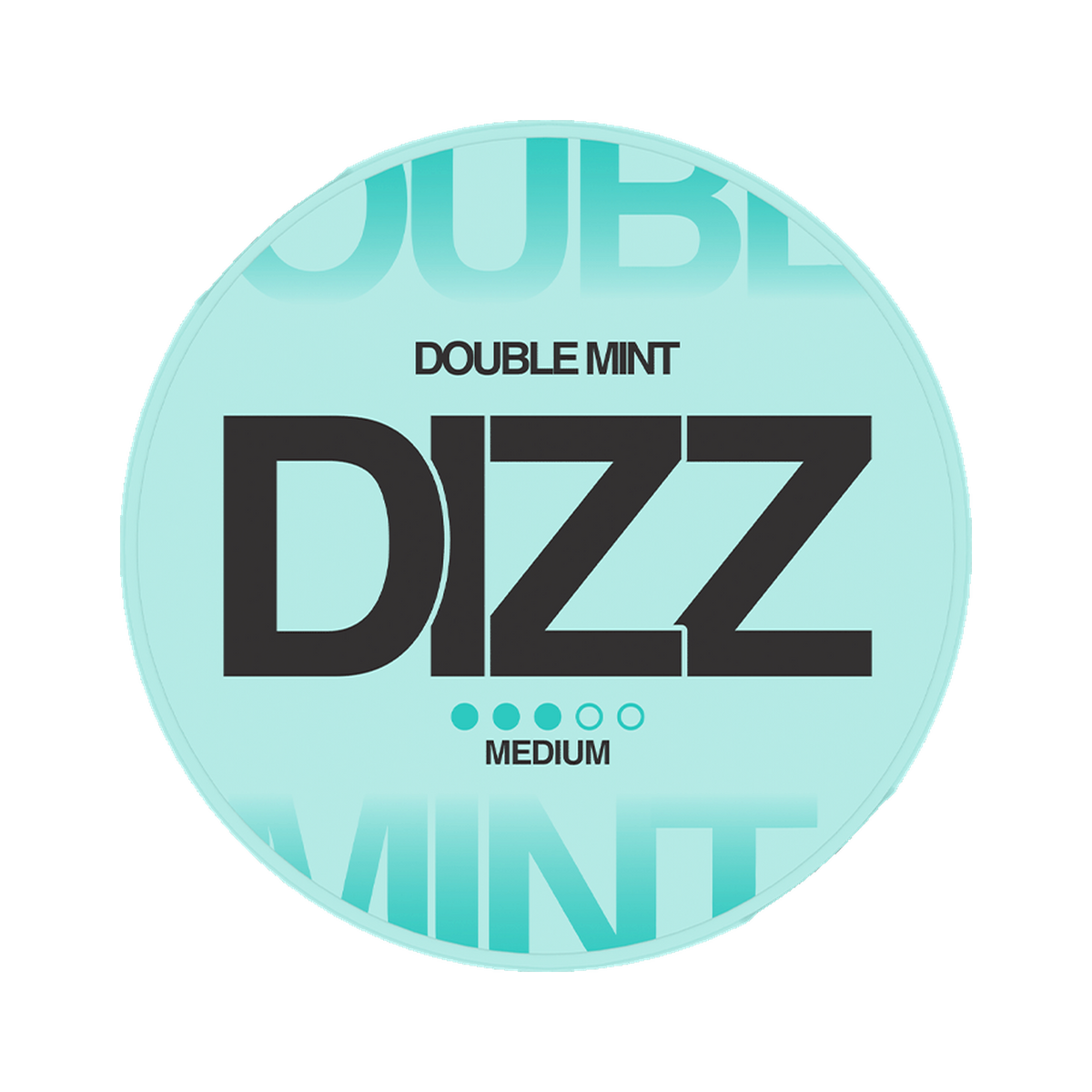 DIZZ Doublemint Medium can, front