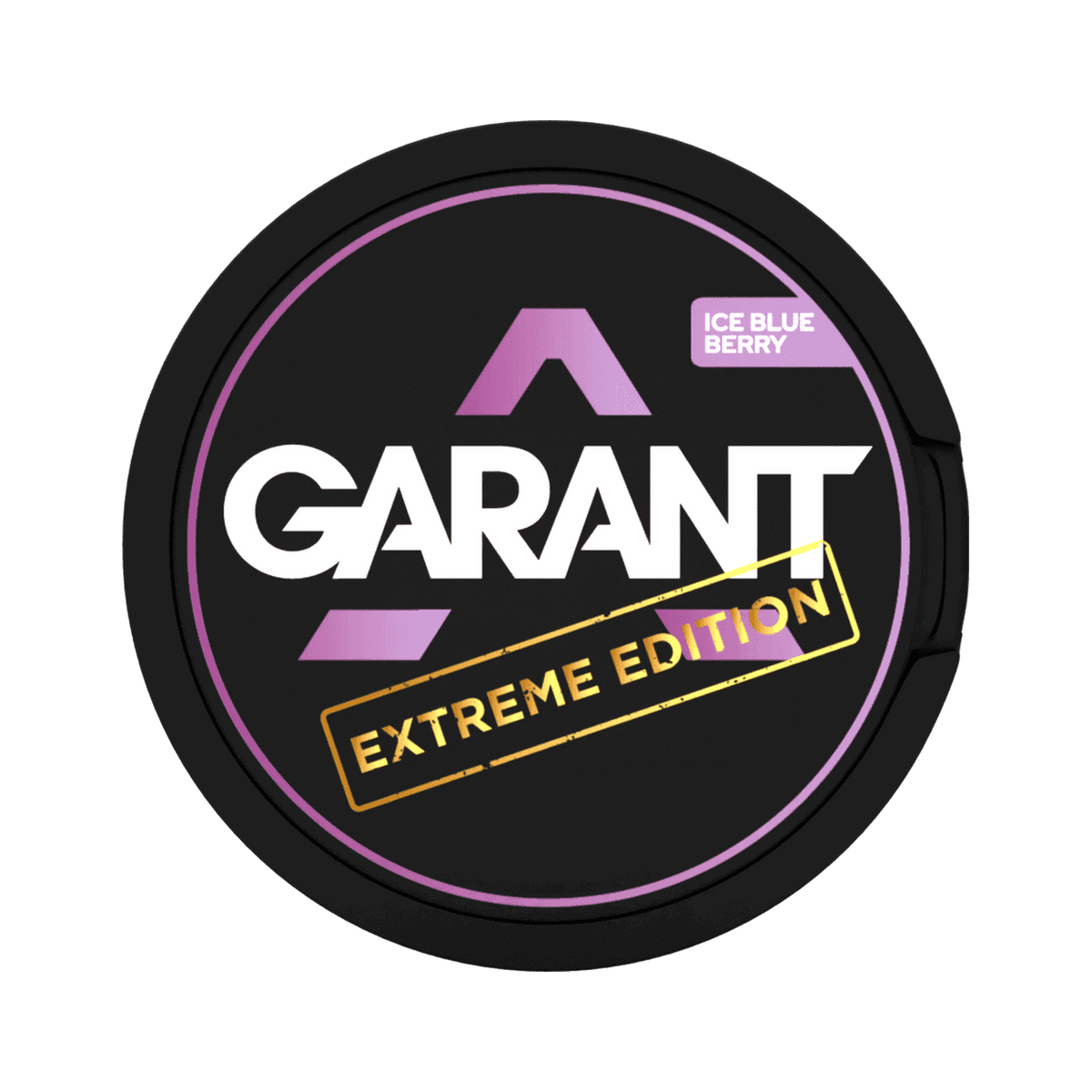 GARANT Extreme Edition Ice Blueberry | Bäst före: 12/11/2026, Dose, Vorderansicht
