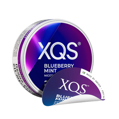 XQS Blueberry Mint