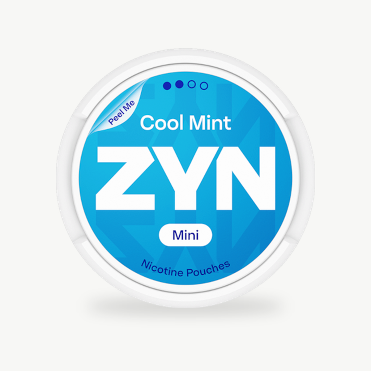 ZYN Cool Mint Mini Dry Regular