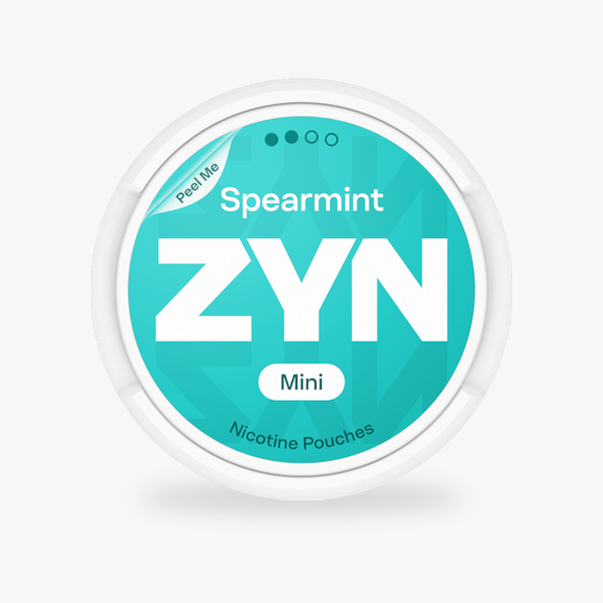 ZYN Spearmint Mini Dry Regular