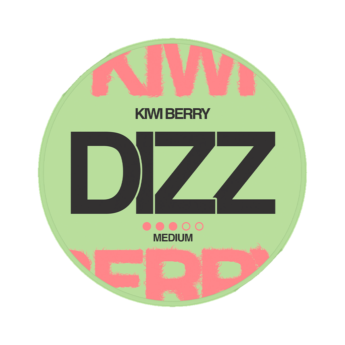DIZZ Kiwiberry Medium can, front