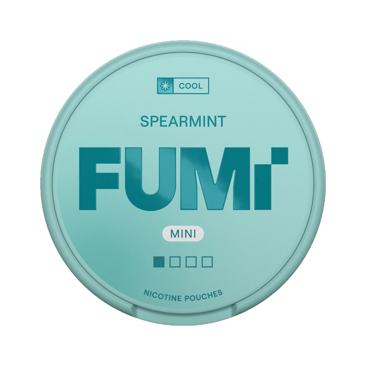 FUMI Spearmint Mini can, front