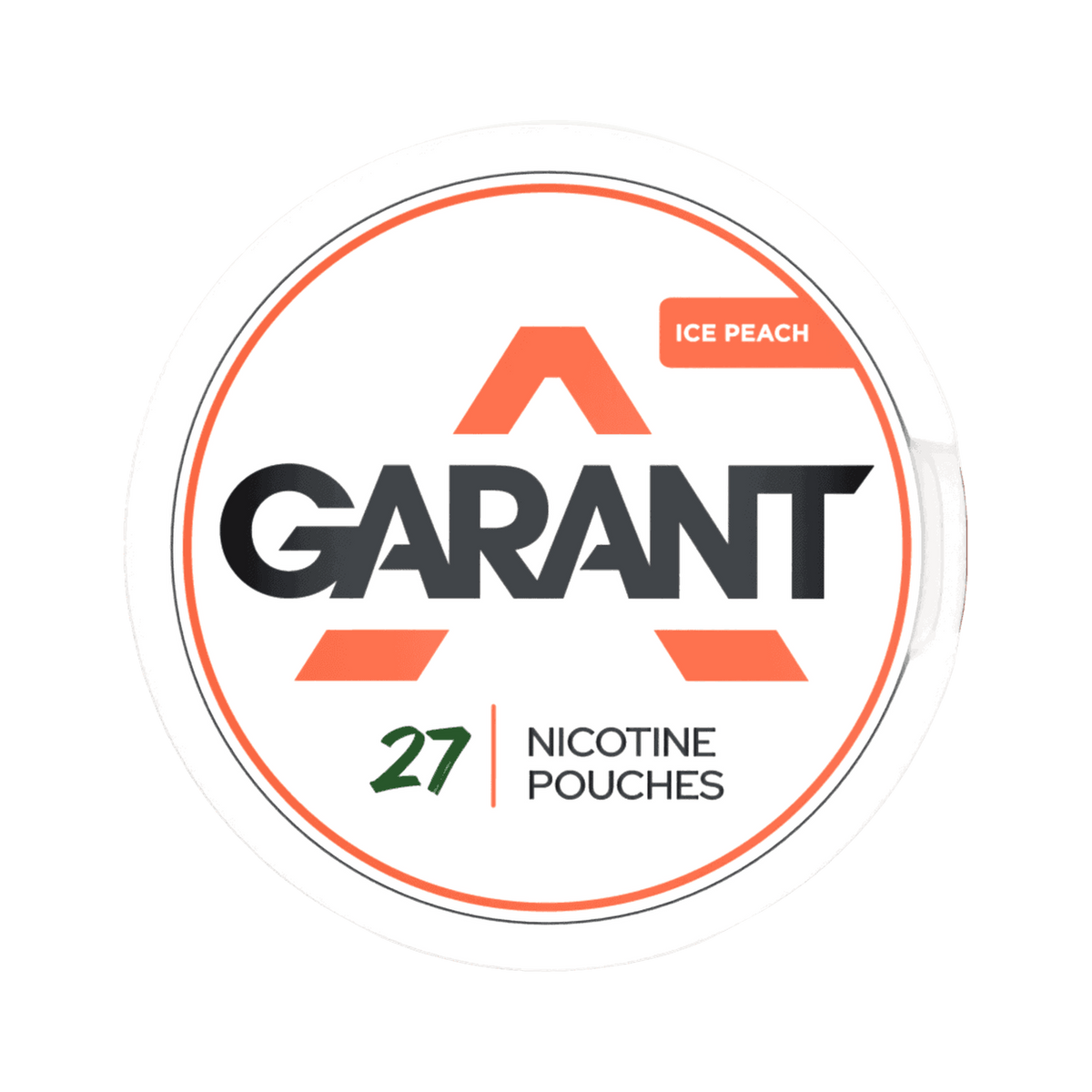 GARANT Ice Peach | Bäst före: 12/11/2026, Dose, Vorderansicht