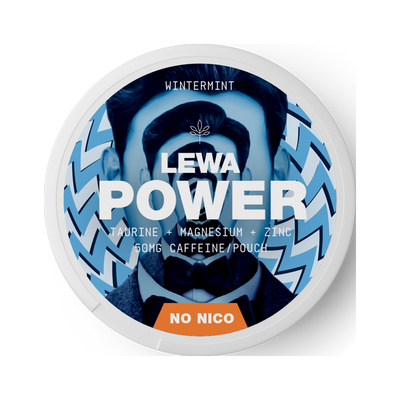 LEWA POWER Wintermint Caffeine, envase